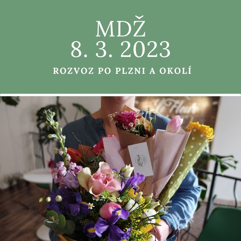 Rozvoz květin Plzeň