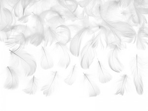  Dekorativní peří bílé, 3 g | Rozvoz květin Plzeň